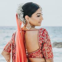 Payal Shroff profile picture