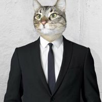 David Besker profile picture