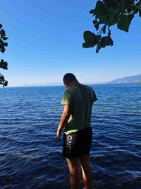 Mihail Tomevski profile picture