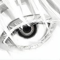 Daks profile picture