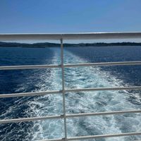 amel soreya profile picture