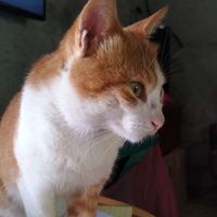 Eziel Lumz profile picture