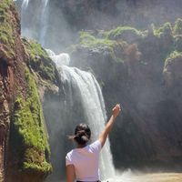 Malak Alami profile picture