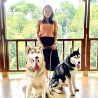 Stella Diba profile picture