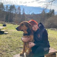 Nina Bulajic profile picture