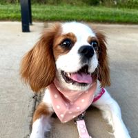bernadette kelly profile picture