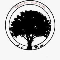 Fae Elizabeth Bailey profile picture