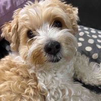 ForeveryourPrincess profile picture