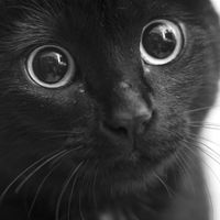 Jenni J profile picture