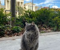 Marina S profile picture