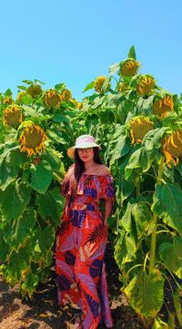 Dev'z Baula profile picture