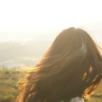 Sifting Sunbeams profile picture
