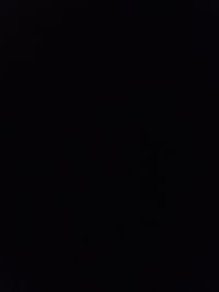 Nika Juric profile picture