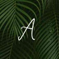 Aylin profile picture