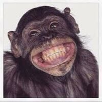 giorgi devidze profile picture