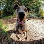 Bubba The Catahouligan profile picture