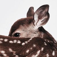 mina profile picture