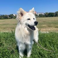 Adrijana Knežević profile picture