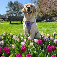 Amy Anderson profile picture