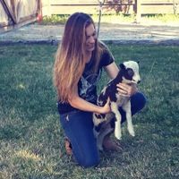 Suzanne Barker profile picture