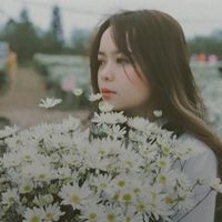 Le Ngoc Linh Luong profile picture