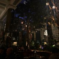 isla profile picture