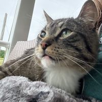 Emiliah profile picture