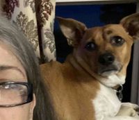 Dee Lockard profile picture