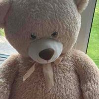 Alex profile picture