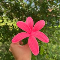Rachel Paes profile picture