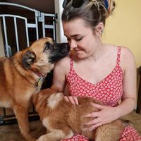 Erin Swanson profile picture