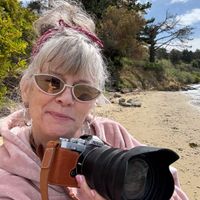 Marie Gelin profile picture