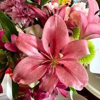 Thryve profile picture