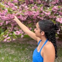 Carmen Ambs profile picture