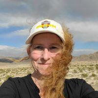 Sheryl Loch profile picture