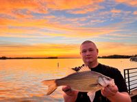 Jason Weckerle profile picture