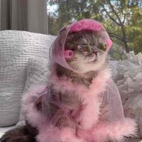 yolie Ann profile picture