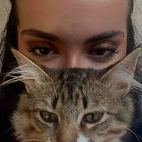 Raven OKENLAR profile picture