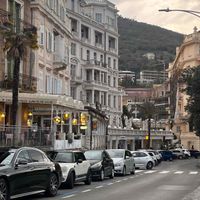 Milana profile picture