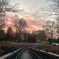 kylee profile picture