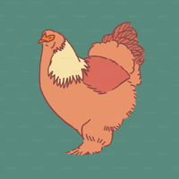 Ashley Arnold profile picture