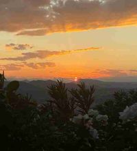 Marianna profile picture