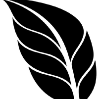 Heri Irawan Al Biruni profile picture