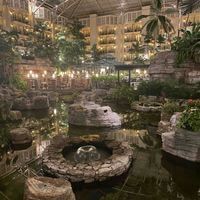 Sarah Belle profile picture