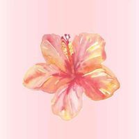 hushfolder ^^ profile picture