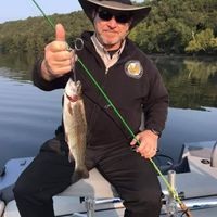 Kevin Luttrell profile picture