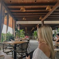 Adna Licina profile picture