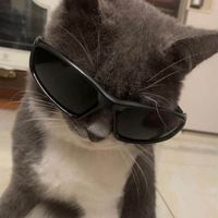 Dave Tismo profile picture