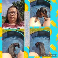 Christina Hill profile picture
