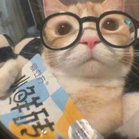 feby Dump profile picture